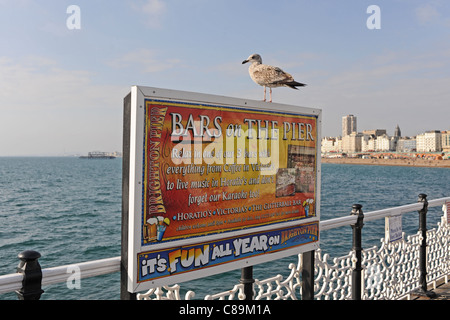 Baby oder juvenile Silbermöwe thront auf einem Schild am Brighton Pier, früher bekannt als das Palace Pier Stockfoto