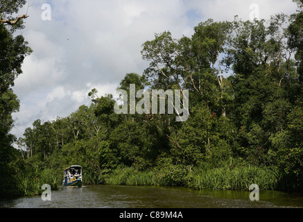 Indonesien, Borneo, Tanjunj Puting Nationalpark, Reisende von Klotok Stockfoto