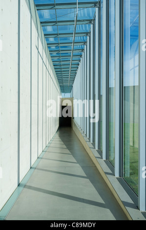 Langen Foundation Kunstmuseum, entworfen von Tadao Ando in Hombroich in Neuss in Deutschland Stockfoto