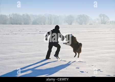 Deutschland, Vechelde, junge spielt mit Australian shepherd im Schnee Stockfoto