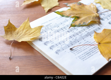 Notizen und gelbe Blätter auf dem Tisch. Stockfoto