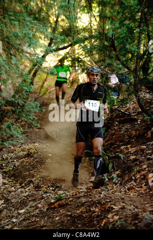 Mann im cross Country Trail Rennen im Wald bergab laufen Stockfoto
