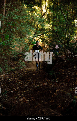 Mann im cross Country Trail Rennen im Wald bergab laufen Stockfoto