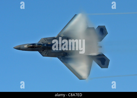 Eine f-22 Raptor, pilotiert von Generalmajor David Skalicky überfliegt Langley Air Force Base, VA., 3. Februar 2010. Stockfoto