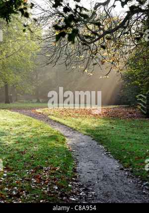 Am frühen Morgen Herbst Sonnenlicht durch Bäume auf einer Parklandschaft zu Fuß Weg Stockfoto