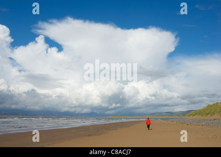 Frau zu Fuß entlang Sandstrand auf Walney Insel, in der Nähe von Furness, Cumbria, England UK Stockfoto