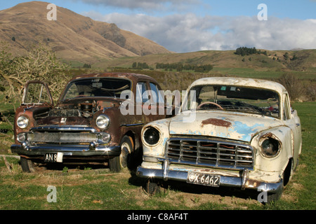 Alte Autos, die in einem Feld ausgelassen Stockfoto