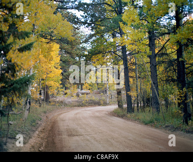 Einem kleinen Feldweg im Rocky Mountain National Park. Stockfoto