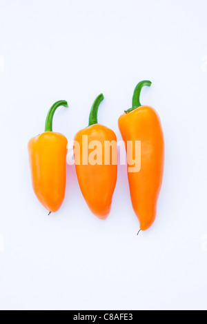 Drei "Orange Baby" Paprika isoliert auf einem weißen Hintergrund. Stockfoto