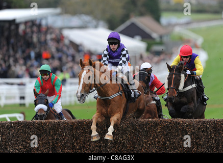 Rennpferde und Jockeys in Aktion über einen Sprung in ein Pferderennen Stockfoto