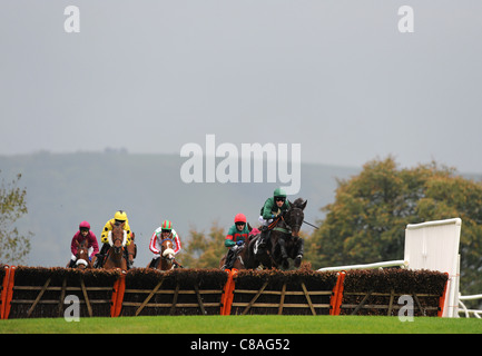 Rennpferde und Jockeys in Aktion über einen Sprung in ein Pferderennen Stockfoto