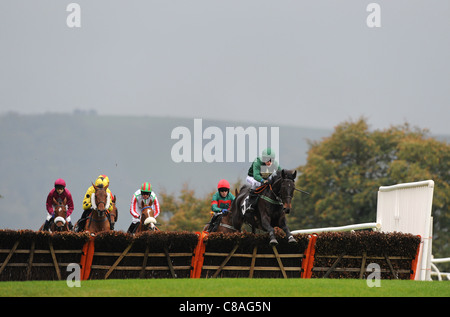 Rennpferde und Jockeys in Aktion über einen Sprung in ein Pferderennen Stockfoto