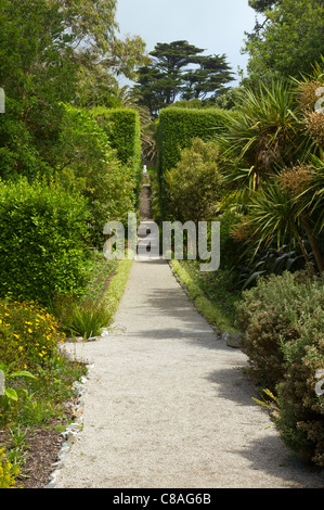 Der lange Weg zu Neptuns Schritte, Tresco Abbey Gardens, Isles of Scilly UK. Stockfoto