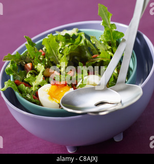 Löwenzahn und gewürfelten Speck Salat mit ein weich gekochtes Ei Stockfoto