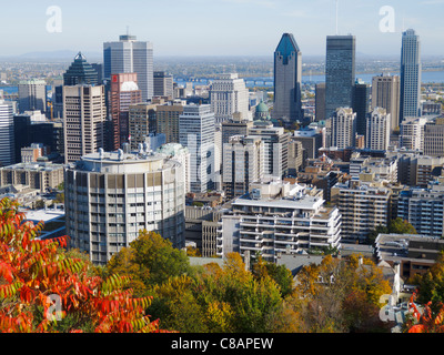 Blick auf Montreal vom Kondiaronk Suche im Mount Royal Stockfoto