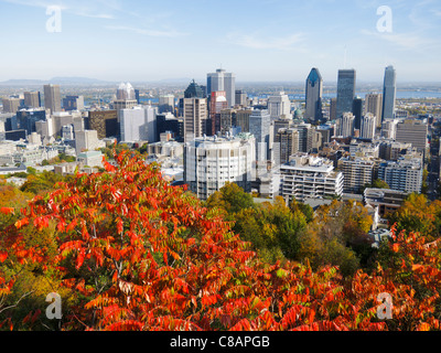 Blick auf Montreal vom Kondiaronk Suche im Mount Royal Stockfoto