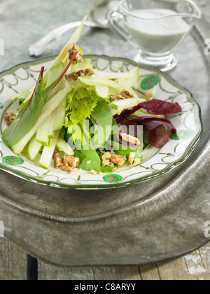 Waldorfsalat mit Granny Smith Apfel, Stangensellerie, Walnüssen und gorgonzola Stockfoto