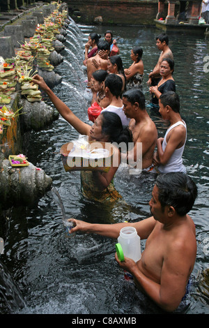 Diener im reinigenden Pool Tirta Empul Tempel, Bali Stockfoto