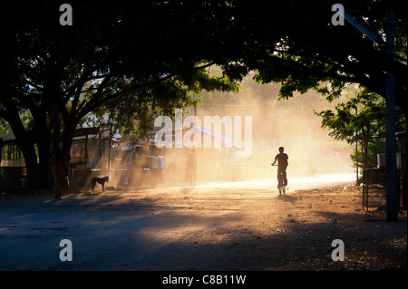 Indianerjunge Silhouette Rad fahren durch einen Tunnel von Bäumen bei Sonnenuntergang. Puttaparthi, Andhra Pradesh, Indien Stockfoto