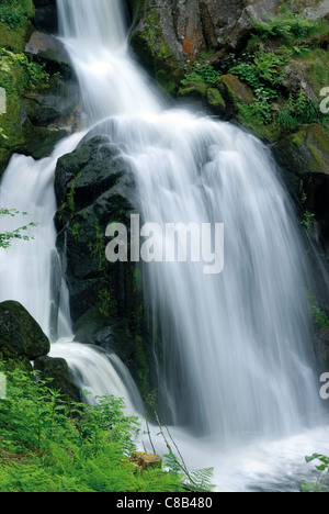 Deutschland, Schwarzwald: Wasserfälle von Triberg Stockfoto