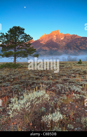Grand Teton ist der höchste Gipfel der Teton Range an mehr als 13.700 ft in der Höhe. Stockfoto