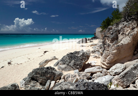 Blick auf Strand, Warwick Parish, Bermuda Surf-Seite. Stockfoto