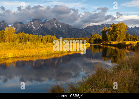 Schwabachers Landing ist ein Boot Landung den Zugang zu dem Snake River im Grand Teton National Park.  Es ist eine von nur vier Plätze innerhalb des Parks mit einfachem Zugang zum Fluss. Stockfoto