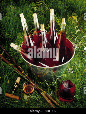 Flaschen Roséwein in Eimer auf dem Rasen Stockfoto