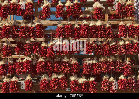 Chili-Ristras (Paprika) auf Kreditor Stall in Santa Fe, New Mexico, USA Stockfoto