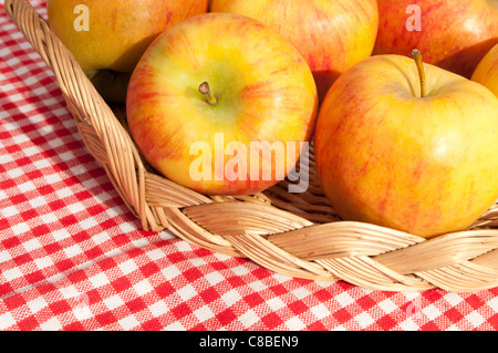Nahaufnahme von Rubens Äpfel im Korb auf rot karierte Tischdecke Stockfoto