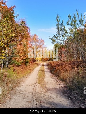 ländlichen Landstraße durch den herbstlichen Wald Stockfoto