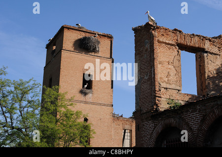 Störche. Erzbischöflichen Palast von ALCALA DE HENARES. Autonome Gemeinschaft Madrid. Spanien Stockfoto