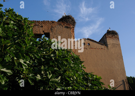 Störche. Erzbischöflichen Palast von ALCALA DE HENARES. Autonome Gemeinschaft Madrid. Spanien Stockfoto