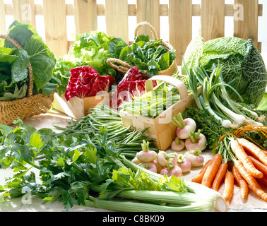 Auswahl von Frühgemüse Stockfoto