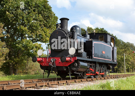 Die Isle Of Wight Steam railway Stockfoto