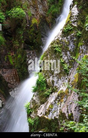 Barke Wasserfall, Teufelsbrücke, Ceredigion, Wales, Europa Stockfoto