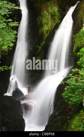 Stockghyll Kraft, in der Nähe von Ambleside, Nationalpark Lake District, Cumbria, England Stockfoto