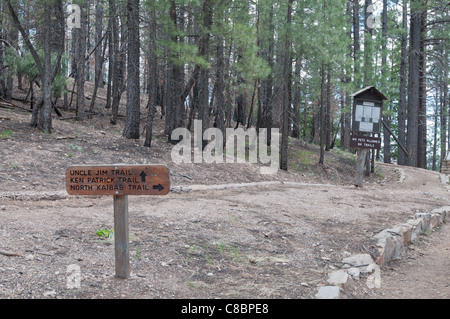 Ein Wegweiser weist den Weg auf der North Rim des Grand Canyon National Park, Arizona usa. Stockfoto