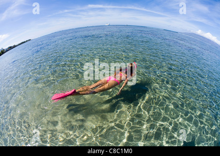 Fish eye Blick auf Frau in rosa unterwegs zum Schnorcheln in Lahaina, Maui, Hawaii. Stockfoto