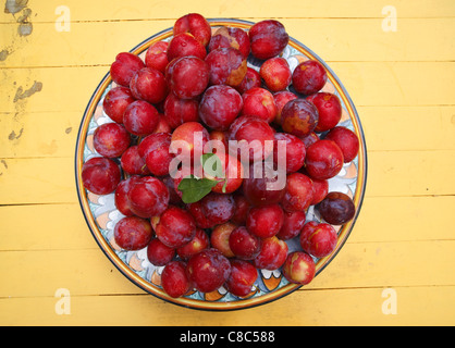 Ein Teller mit frischen Pflaumen. Stockfoto