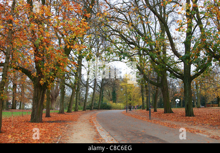 Straße Throught Park im Herbst Stockfoto
