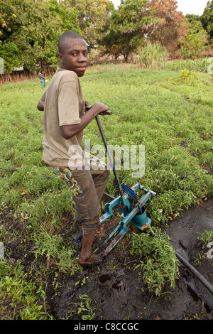 Ein junger Mann nutzt eine Pedal Pumpe Gemüsefelder in Mongu, Sambia, Südafrika zu bewässern. Stockfoto