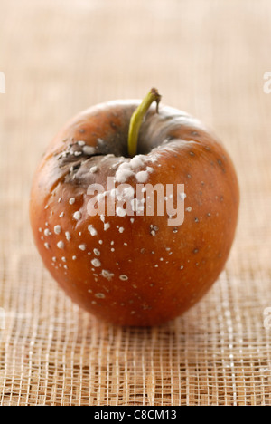 Fauler Apfel Stockfoto