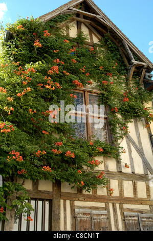 Ein typisches mittelalterliches Haus in Troyes, Frankreich - mit Blumen bedeckt Stockfoto