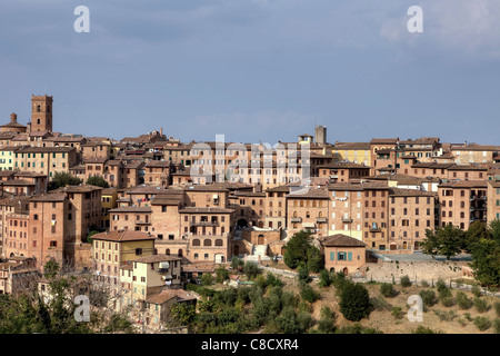 Blick über den Dächern von Siena Stockfoto