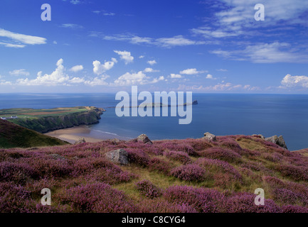 Wurmkopf von Rhossili Down mit Heidekraut im Vordergrund Rhossili Gower Halbinsel Swansea County South Wales UK Stockfoto