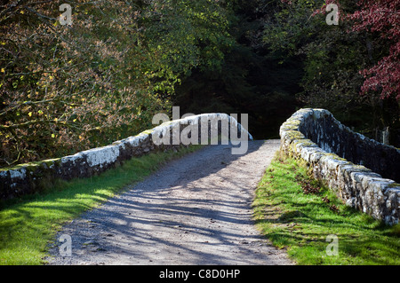 Bridlepath in den West Dart Valley auf Dartmoor in der Nähe von zwei Brücken und Princetown Stockfoto