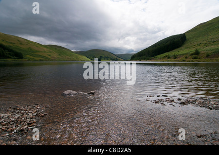 Loch ' o ' Lowes, St Marys Loch Schafgarbe Tal Stockfoto