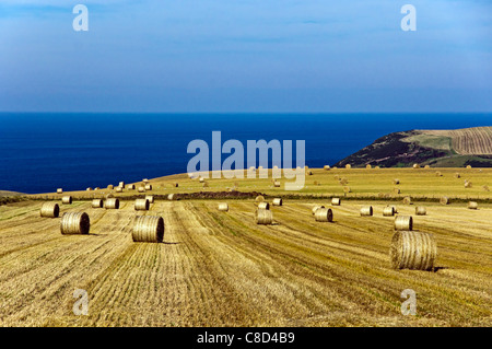 Heuballen liegen auf Feldern in der Nähe von Crovie im Nordosten Schottlands mit der Nordsee in den Boden zurück. Stockfoto