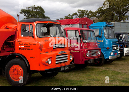 Linie der klassischen LKW bei der Shropshire-Dampf-Rallye Stockfoto